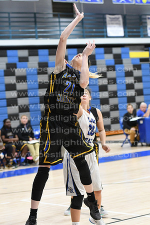 MCHSLTVARBB012317_366