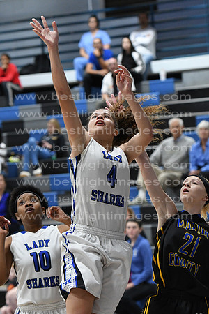 MCHSLTVARBB012317_115