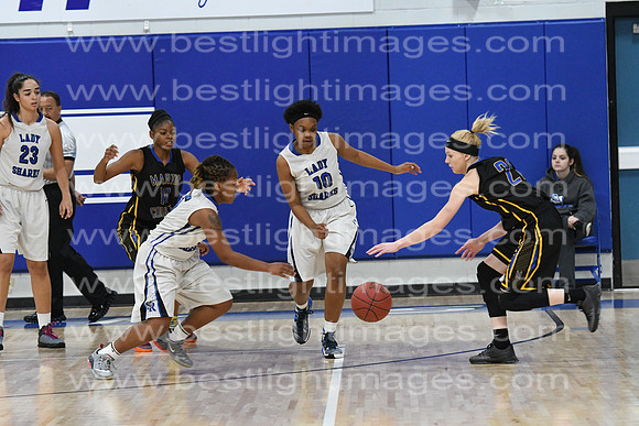 MCHSLTVARBB012317_096