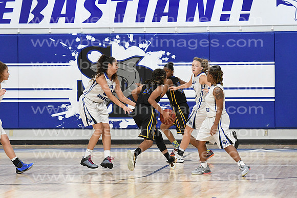 MCHSLTVARBB012317_078
