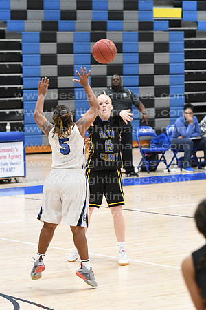 MCHSLTVARBB012317_254