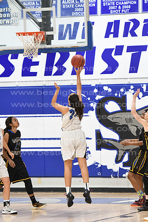 MCHSLTVARBB012317_253
