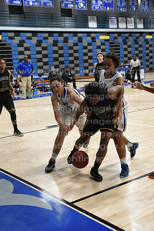 MCHSLTVARBB012317_065