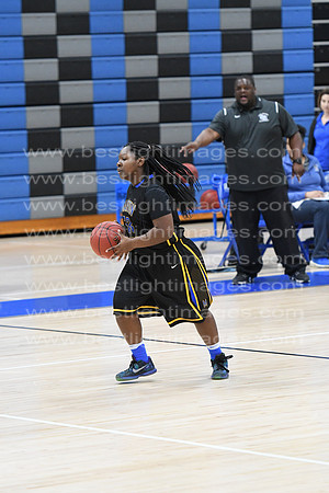 MCHSLTVARBB012317_308