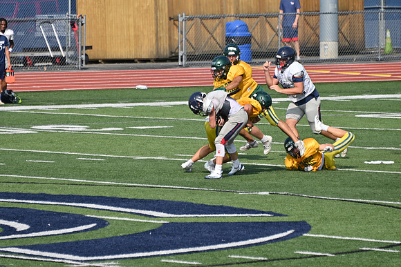 TitanFB0816_0206
