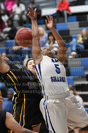 MCHSLTVARBB012317_032