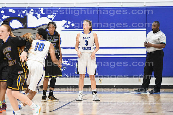 MCHSLTVARBB012317_400
