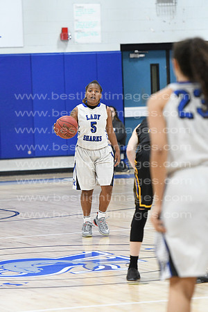 MCHSLTVARBB012317_033