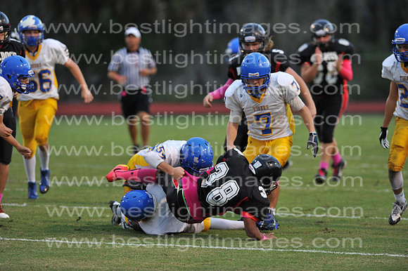 MCHSJVFB102314_272