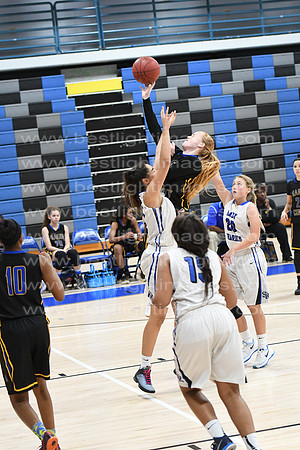MCHSLTVARBB012317_319
