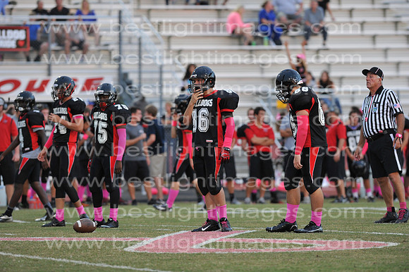 MCHSJVFB102314_247