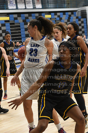 MCHSLTVARBB012317_055