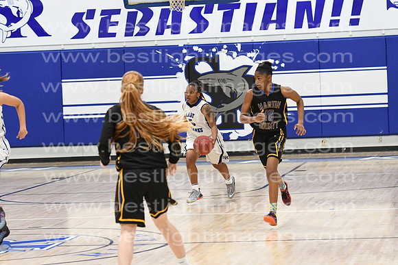 MCHSLTVARBB012317_092