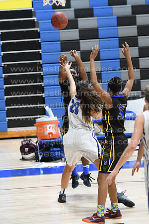 MCHSLTVARBB012317_280