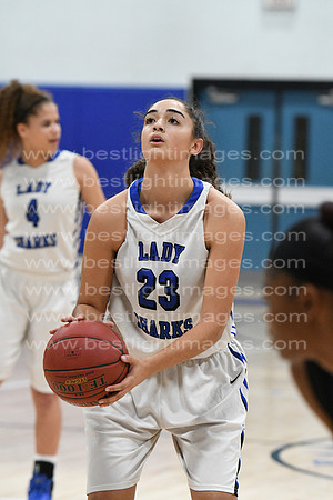 MCHSLTVARBB012317_073