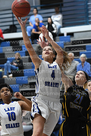 MCHSLTVARBB012317_114