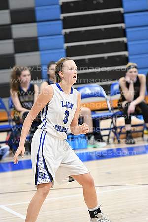 MCHSLTVARBB012317_295