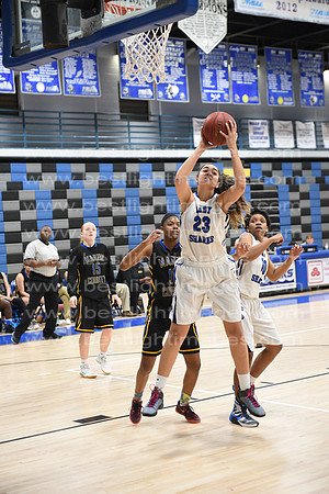 MCHSLTVARBB012317_391