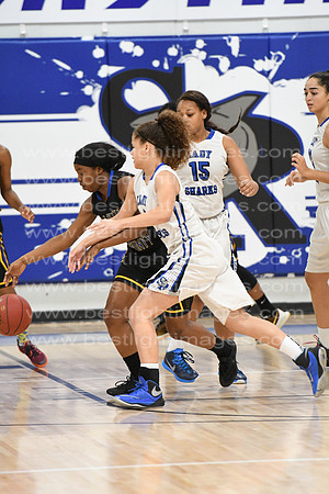 MCHSLTVARBB012317_025