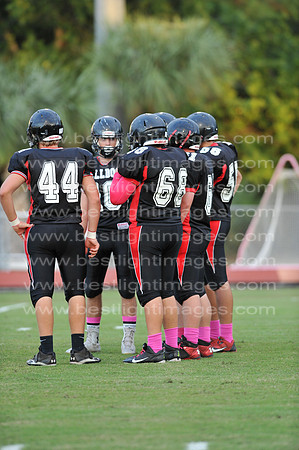 MCHSJVFB102314_200
