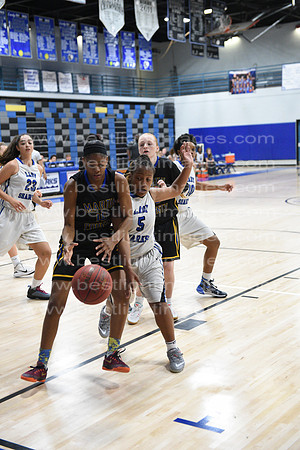 MCHSLTVARBB012317_087