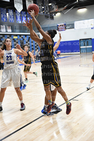 MCHSLTVARBB012317_339