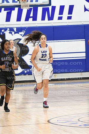 MCHSLTVARBB012317_037