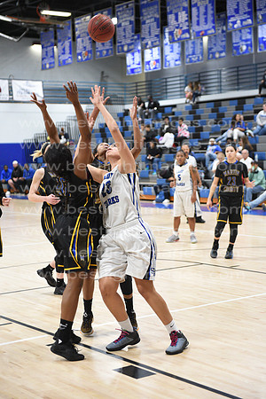 MCHSLTVARBB012317_118