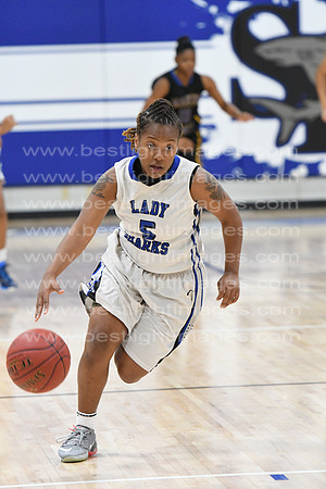 MCHSLTVARBB012317_027