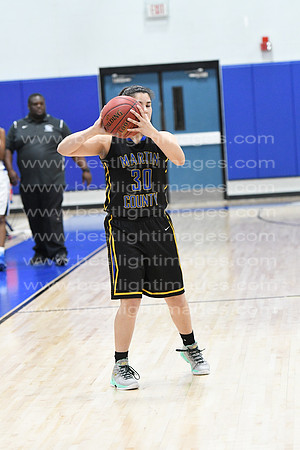 MCHSLTVARBB012317_409