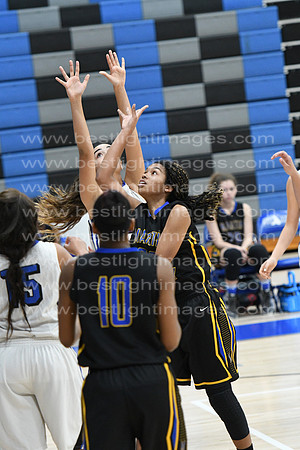 MCHSLTVARBB012317_300