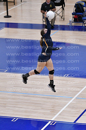 MCHSVB100120_120