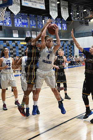 MCHSLTVARBB012317_061