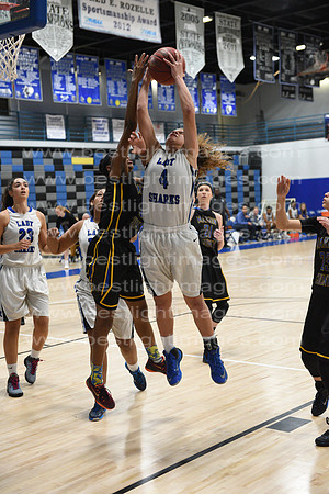MCHSLTVARBB012317_060