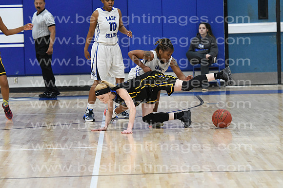 MCHSLTVARBB012317_097