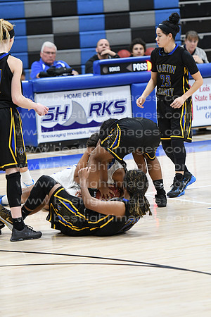 MCHSLTVARBB012317_229