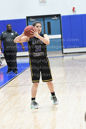 MCHSLTVARBB012317_410