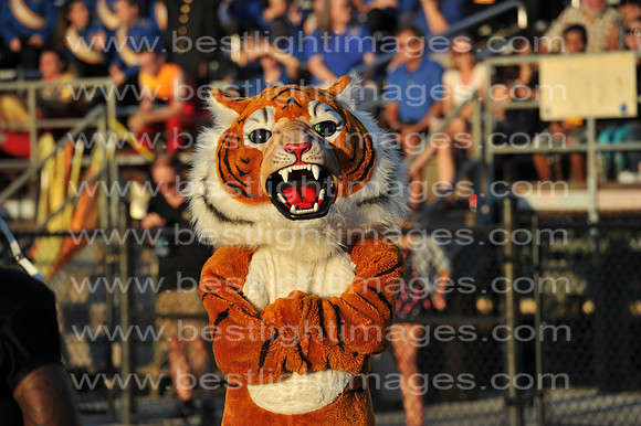 MCHSFB101014_010