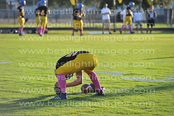 MCHSFB101014_003