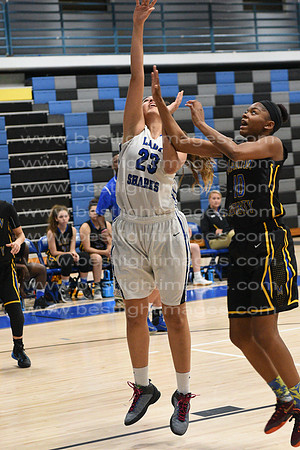 MCHSLTVARBB012317_051
