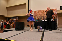 Z62_2861