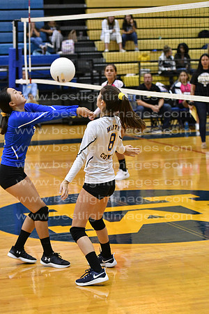 MCHSJVVB082019_263