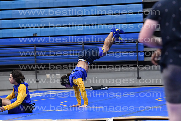 MCHSWRESTLING12122_293