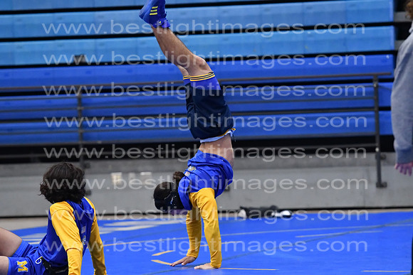 MCHSWRESTLING12122_291