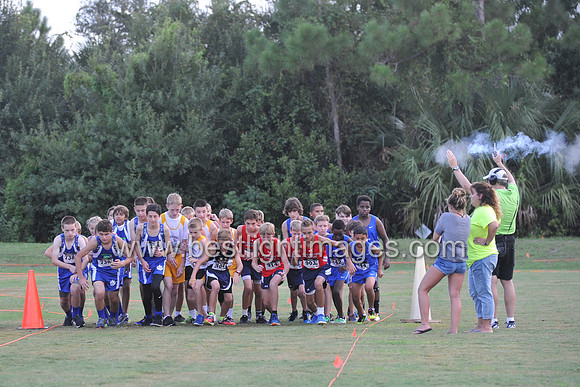 UTL2016_MS_001
