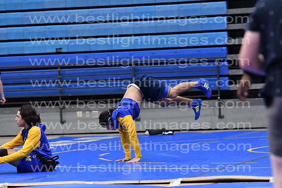 MCHSWRESTLING12122_294