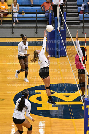MCHSJVVB082019_116