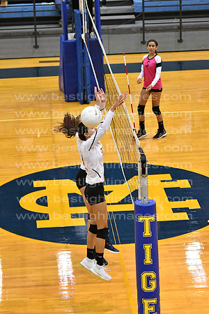 MCHSJVVB082019_100