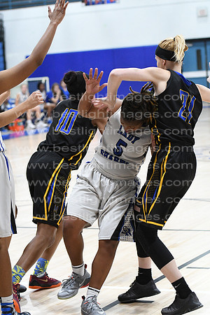 MCHSLTVARBB012317_358