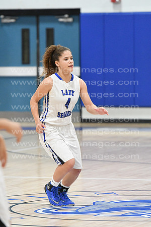 MCHSLTVARBB012317_154